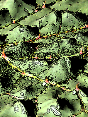 liquid plant leaves